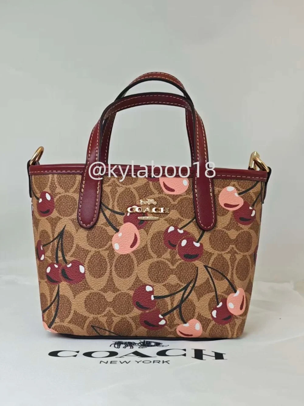 Coach Cherry-Print Small Satchel - Brown/Maroon/Pink
